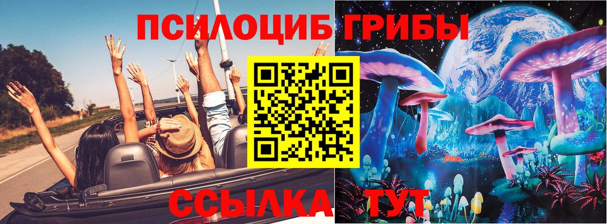 Галлюциногенные грибы Psilocybine cubensis  как найти   Шебекино  Вход с VPN 